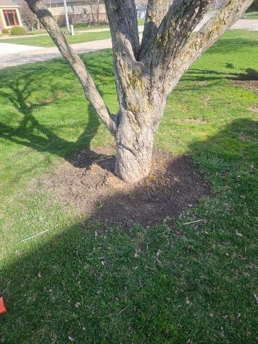 Spring Clean Up for Stafford.Works in Brownsburg, IN