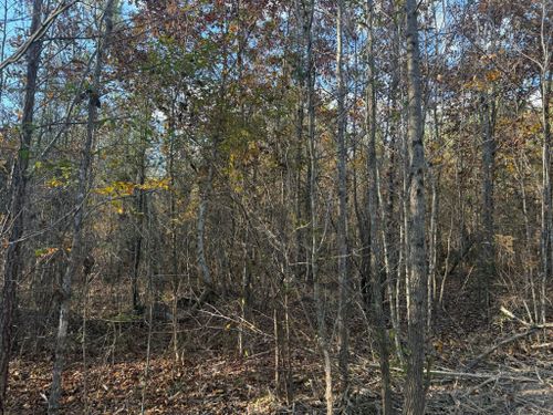  for Southern Land Improvements in Edgefield, SC