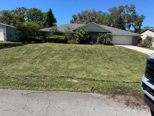 Tree Removal for CFS Services in Fort Meade, FL