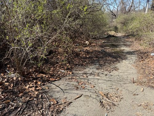  for A1 Bush Hogging & Lawn Service in Columbus, OH