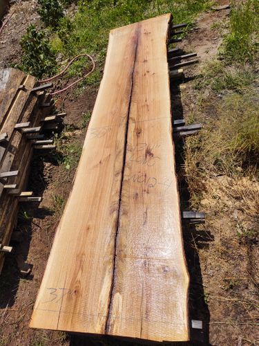 Wood Slabs for Bennett Logging in Gosport, Indiana