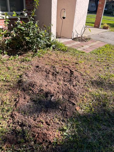  for KB’s Stump Removal in Seminole, FL