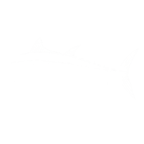  for Blackfin Pro Wash LLC in Houma, LA