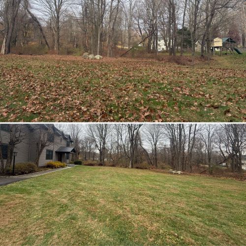 Fall Clean Up for LJ Lawn & Property Maintenance, Inc. in Cold Spring, New York