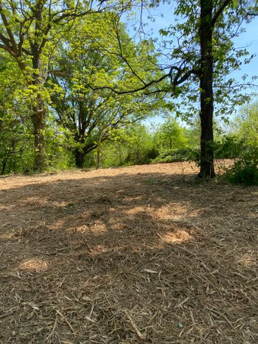 Forestry Mulching for Southern Land Solutions Forestry Mulching, LLC in Cleveland, NC