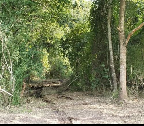  for TJ Farm and Land Management in Loris, SC
