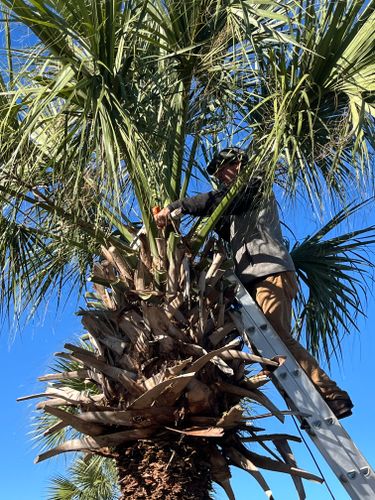 All Photos for New Creation Landscaping in Myrtle Beach, SC