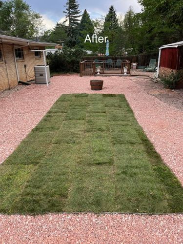 Sod Installation  for Top of The Edge Landscape in Peyton,  CO