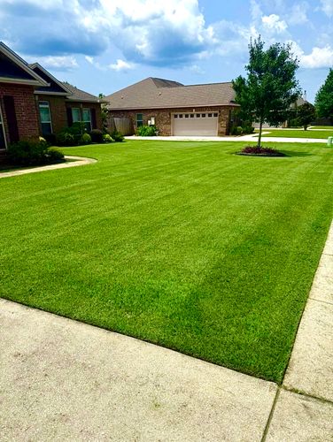  for Enhanced Landscape in Daphne, AL