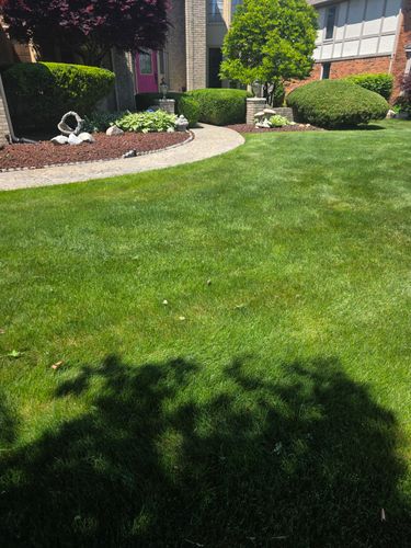  for Ivy Lawn and Landscaping in Oxford, MI
