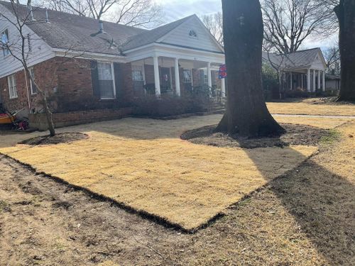 Martin Landscape for Emory's Garden Landscape Emporium in Memphis,  TN