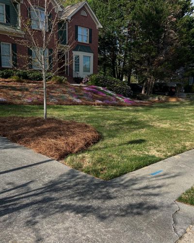 Lawn Maintenance for Amerigreen Lawn & Landscape in Atlanta, GA