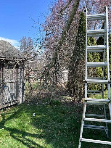 Tree Trimming and Removal for Murray Mowing and More in Ashaway, RI