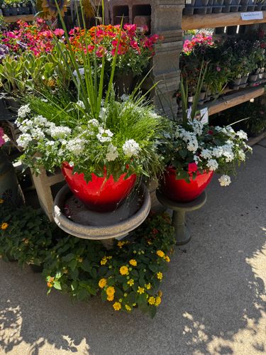 Gardening for Mayfield Landscaping in Staunton, IL