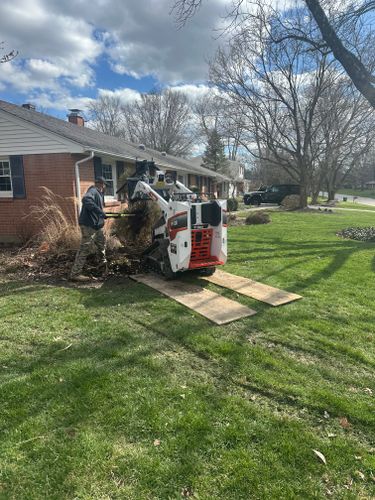 All Photos for Pro Tree Trim & Removal, Llc in Dayton, OH