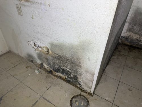  for Surplus Public Adjusters in Miami-Dade County, FL