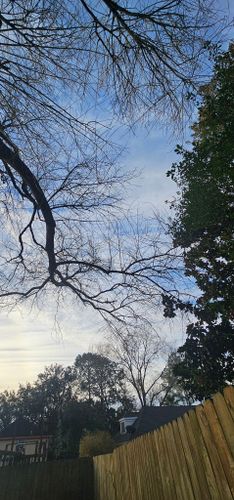  for Servin's Tree Care  in Houston, TX