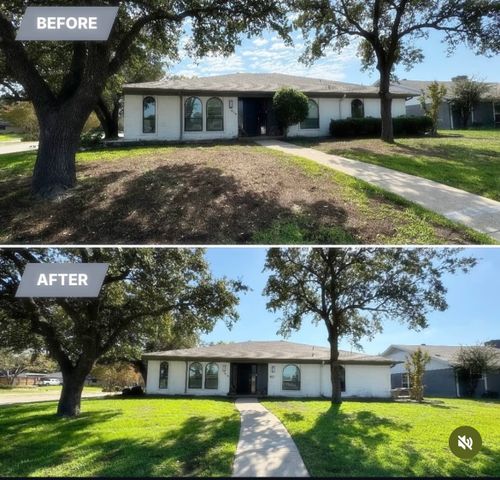 Winter green lawn package for North Texas Groundscaping in Frisco, TX