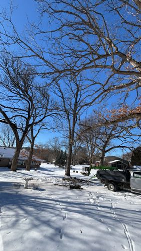 Stump Removal for Fransen's Tree Service  in Freeport, IL