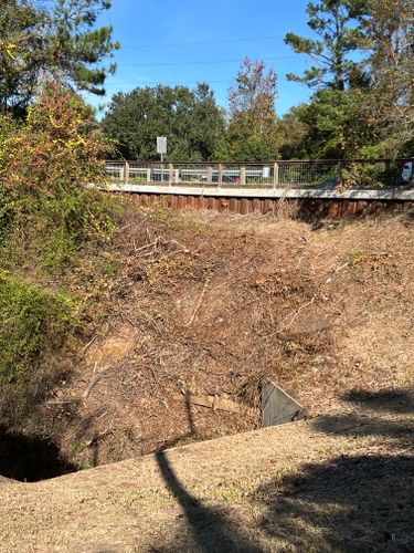  for Southern Venom Services in Daphne, AL