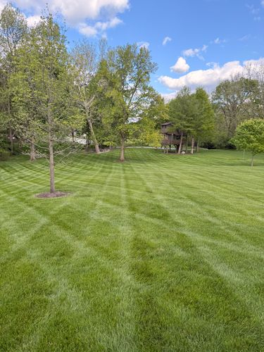 Lawn Care and Maintenance for Sneed & Co LLC in Kokomo, IN