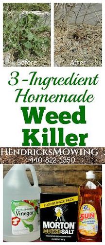 for Hendricks Mowing in Amherst, OH