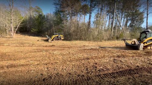 Tree Removal for Empire Tree Services in Mechanicsville, MD