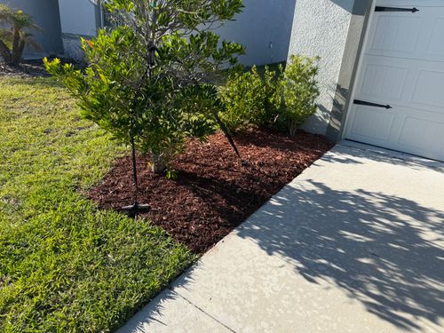 Landscape Design for The Yardman in Tampa, FL