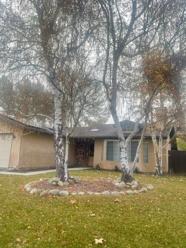 Fall Clean Up for A1 Junk & Tree Solutions, LLC in Paso Robles, CA