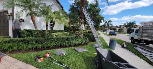 Landscape for L & J Palm Tree & Lawn Care Services in Jupiter, FL