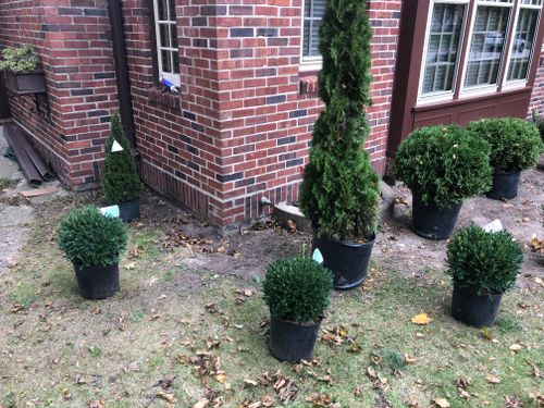 softscapes for Paradise Lawnscapes in West Bend, WI