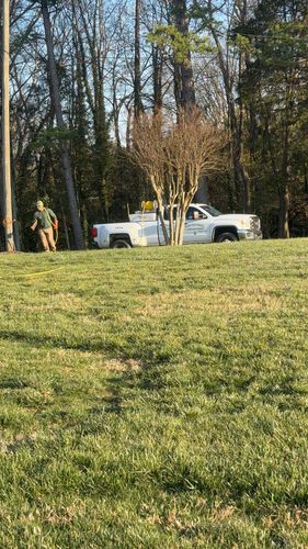  for Pecina Pine Needles in Monroe, NC