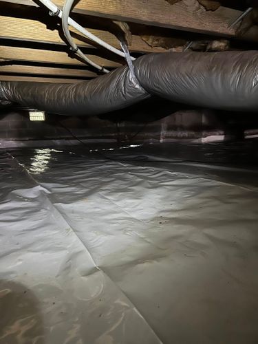 Quarterly Pest Maintenence for Winecoff Pest Control in Salisbury, NC