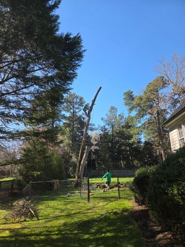 All Photos for Green Brothers Tree Services in Blacksburg, VA