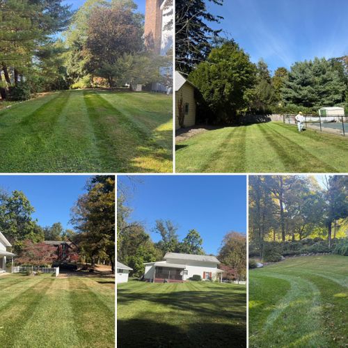 Shrub Trimming for LJ Lawn & Property Maintenance, Inc. in Cold Spring, New York