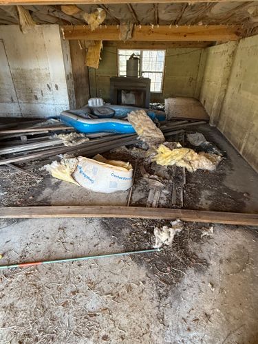 All Photos for Warners Tree Solutions in Live Oak, FL