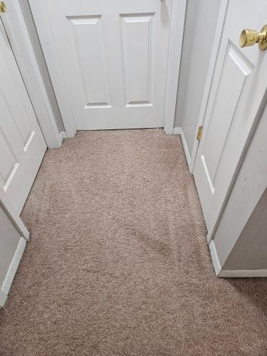  for Loving 217 Homes in Chatham, IL