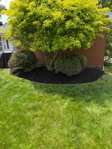 Tree & Shrub Care for Wilder Landscaping Services in South Park, PA