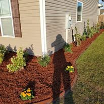 Mulch Installation for All in One Landscaping in Jacksonville, NC