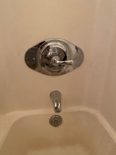 Leak Detection and Repair for Bear Necessity Plumbing in Longs, SC