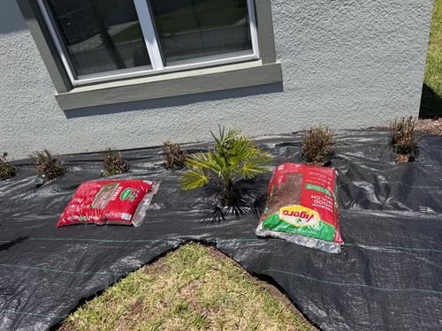 Landscape Design for The Yardman in Tampa, FL