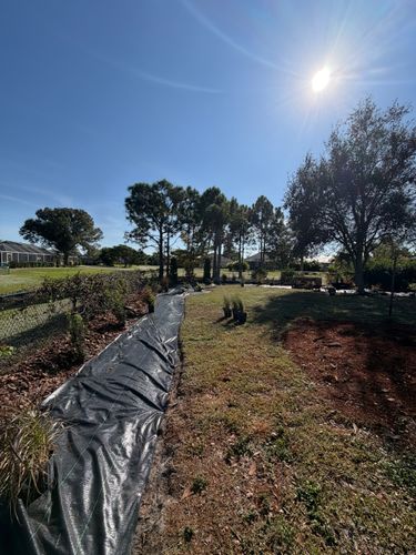 Landscaping for Rize N’ Grind  in Punta Gorda, FL