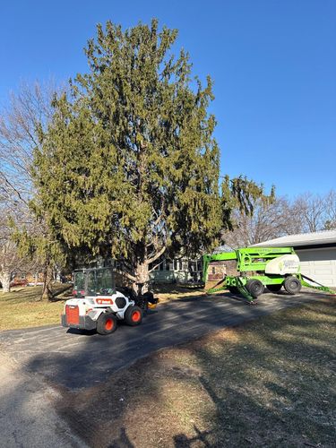 Tree Trimming for Fransen's Tree Service  in Freeport, IL