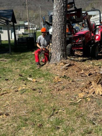  for Grainger Tree Service in Blaine, TN