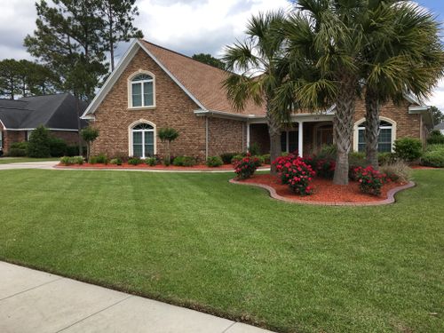 All Photos for New Creation Landscaping in Myrtle Beach, SC