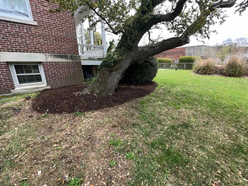 Landscaping for Eddie’s Lawn Care in Chesapeake, VA