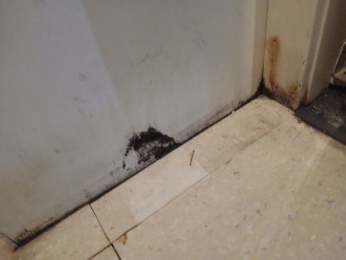 Water Damage Repair for Top Tier Drywall and Painting LLC in Rosenhayn, NJ