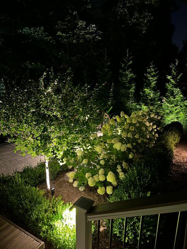 All Photos for Unique Outdoor Lighting in Short Hills, NJ