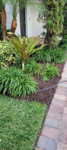 Landscape for L & J Palm Tree & Lawn Care Services in Jupiter, FL