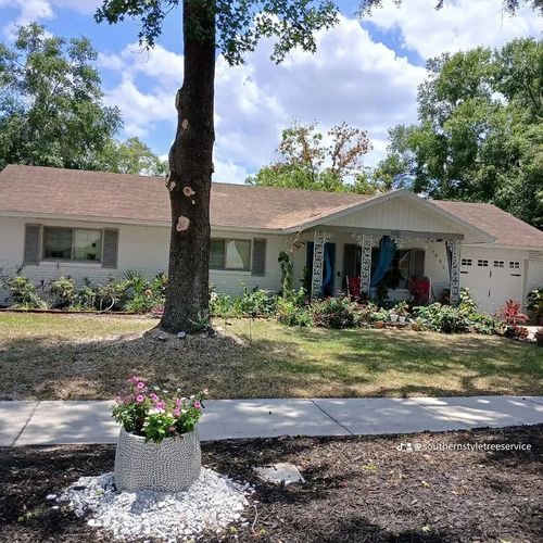 All Photos for A Southern Style Tree Service in Orlando, FL